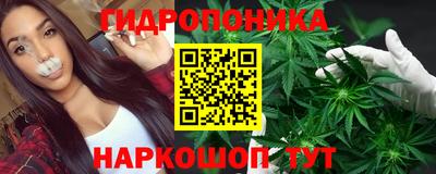 хмурый Можга