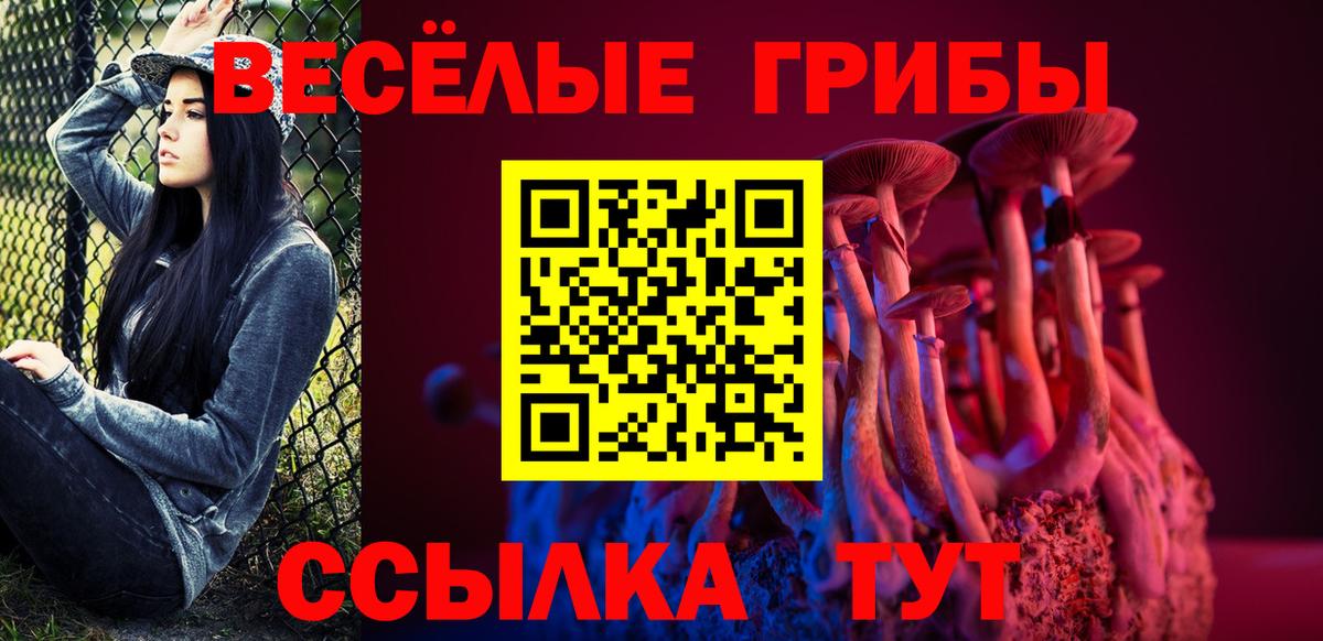 LSD-25 Черногорск