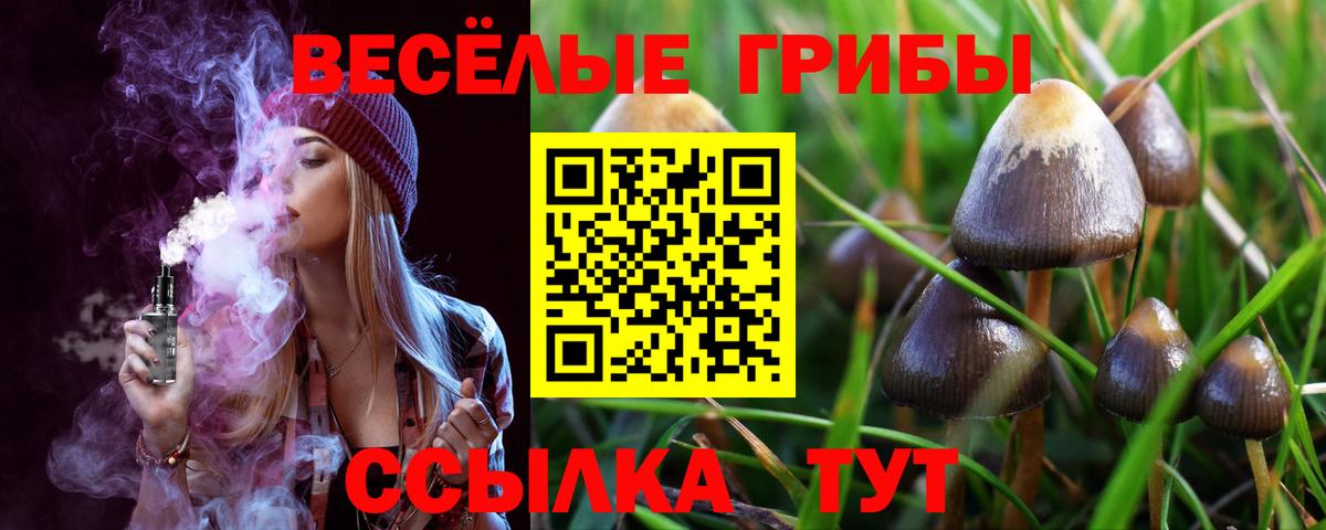 Галлюциногенные грибы MAGIC MUSHROOMS  Вход с VPN  Черногорск  сколько стоит  Галлюциногенные грибы Psilocybe 